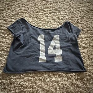 Brandy Melville Blue Gray Short Sleeve Crop Top